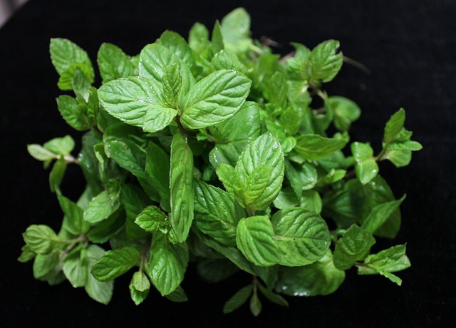 Mint (Pudina) 100 gm