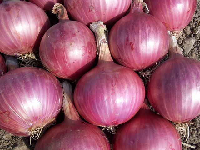 Onion (Economy) 5 Kg