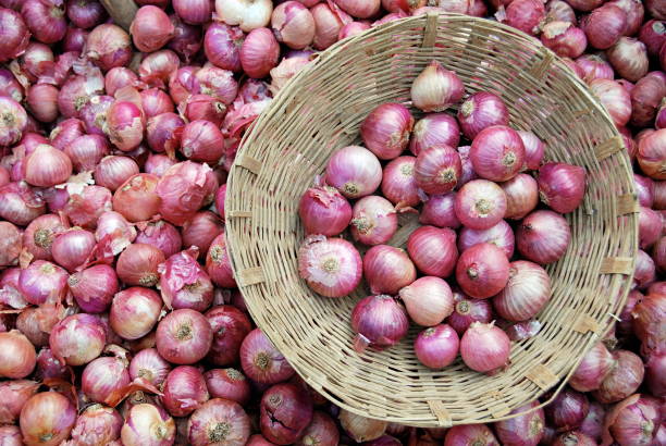 Onion (Premium) 2 kg