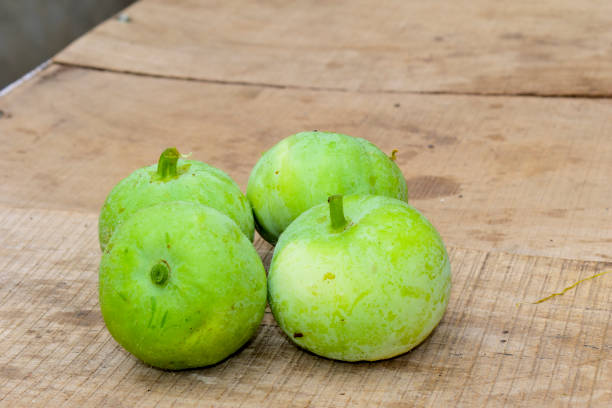 Tinda (Apple Gourd)