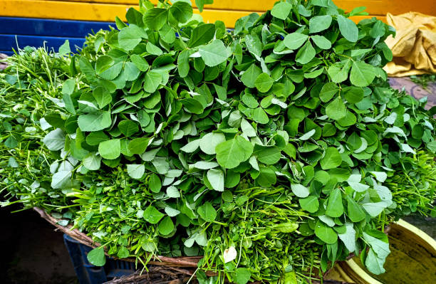 Methi (Fenugreek Leaves) 200 gm