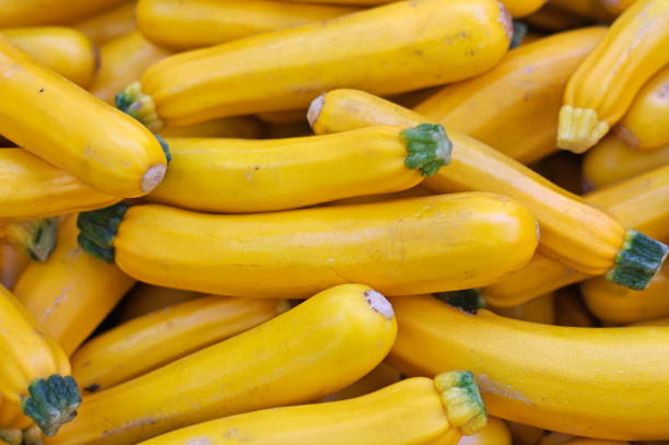 Zucchini yellow 500 Gm