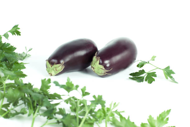 Brinjal (Baingan) 1 kg