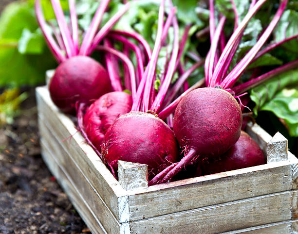 Beetroot (Chukandar) 1 kg