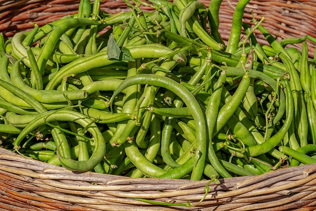 Green Beans (French Beans)  500 gm