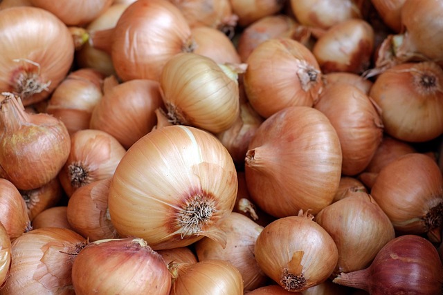 Onion Nashik 10 kg