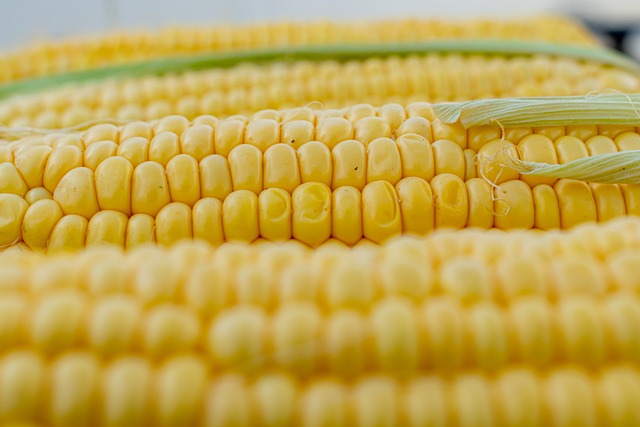 American Corn (Bhutta) 1 piece