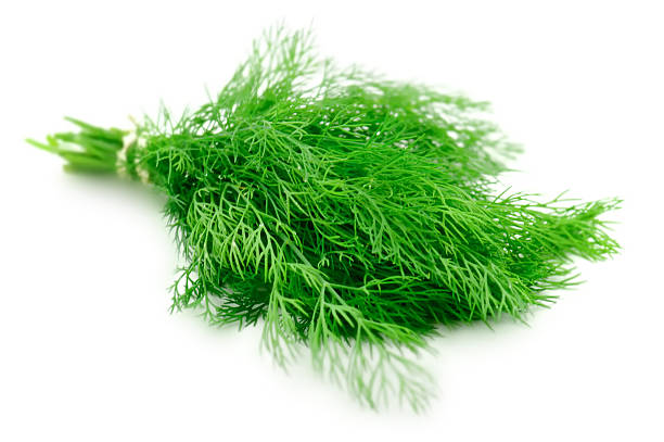 Dill Leaves 200 gm