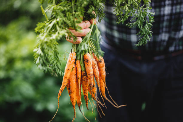 carrot (Gajar) 1 kg