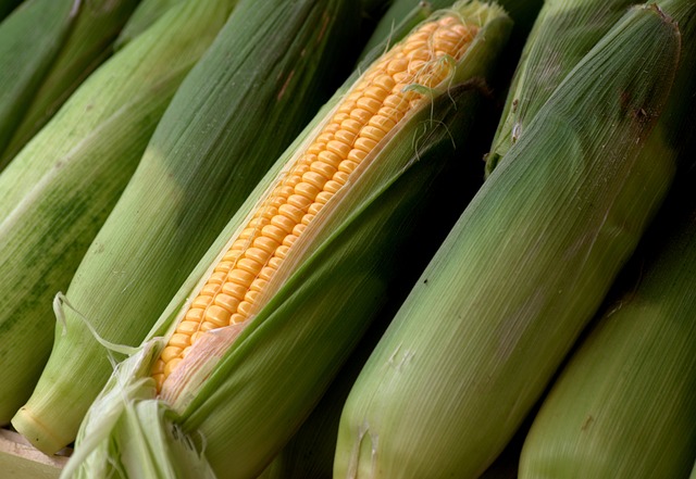 Sweet Corn 1 kg