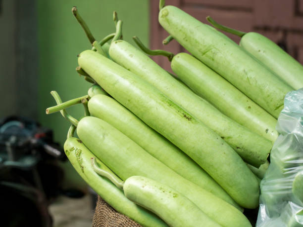 Bottle Gourd (Lauki / Doodhi)