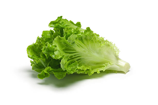 Lettuce Iceberg 250 gm