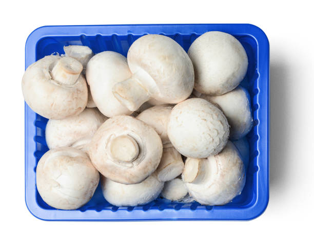 Fresh Mushroom 1 packet(200 gm)