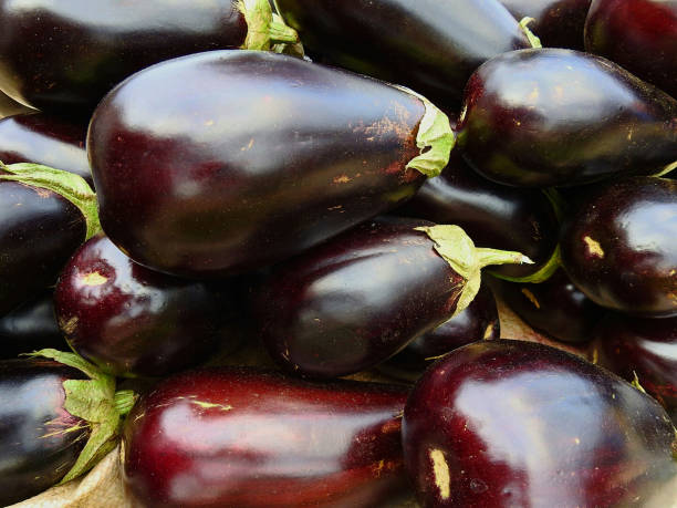 Brinjal (Baingan) 1 kg